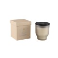 PTMD New Elements Oud Minerale