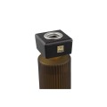 Patyczki zapachowe PTMD New Elements Woody Bouquet