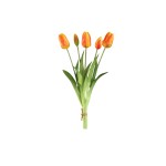 Pomarańczowe tulipany PTMD
