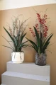 Różowa orchidea w szklanej osłonce PTMD