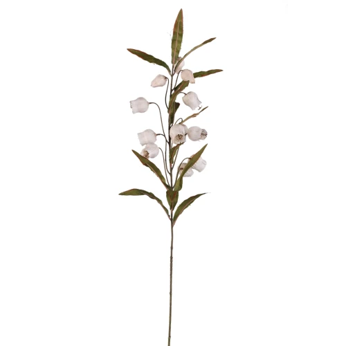 Kwiat Sandersonii PTMD