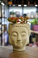 osłonka budda mała