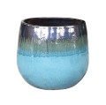 PTMD Nikka Blue