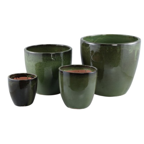 PTMD Nicha Green