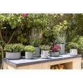 Pottery pots suzi set