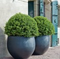 Potter Pots Black Washed Orb