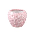 Avis Pink osłonka