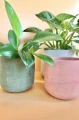 Betonowa różowa osłona