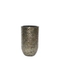 Adrija Champagne S
