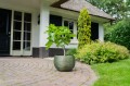 Elise green TerSteege
