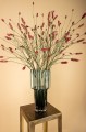 Twig Plant Pink burnet