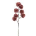 burgundfolksy