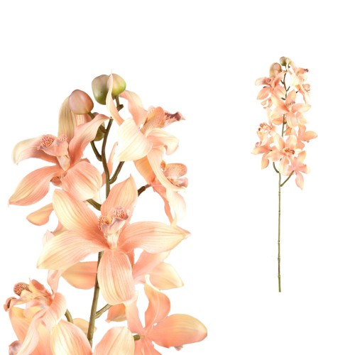 orchid