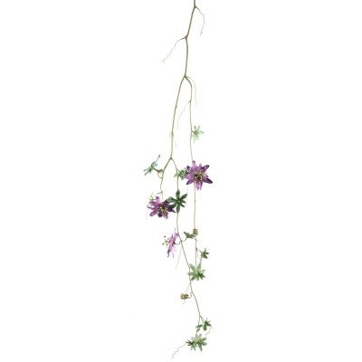 Fioletowa Passiflora PTMD