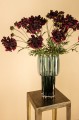 Scabiosa kompozycja