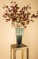 Orchidea kompozycja PTMD